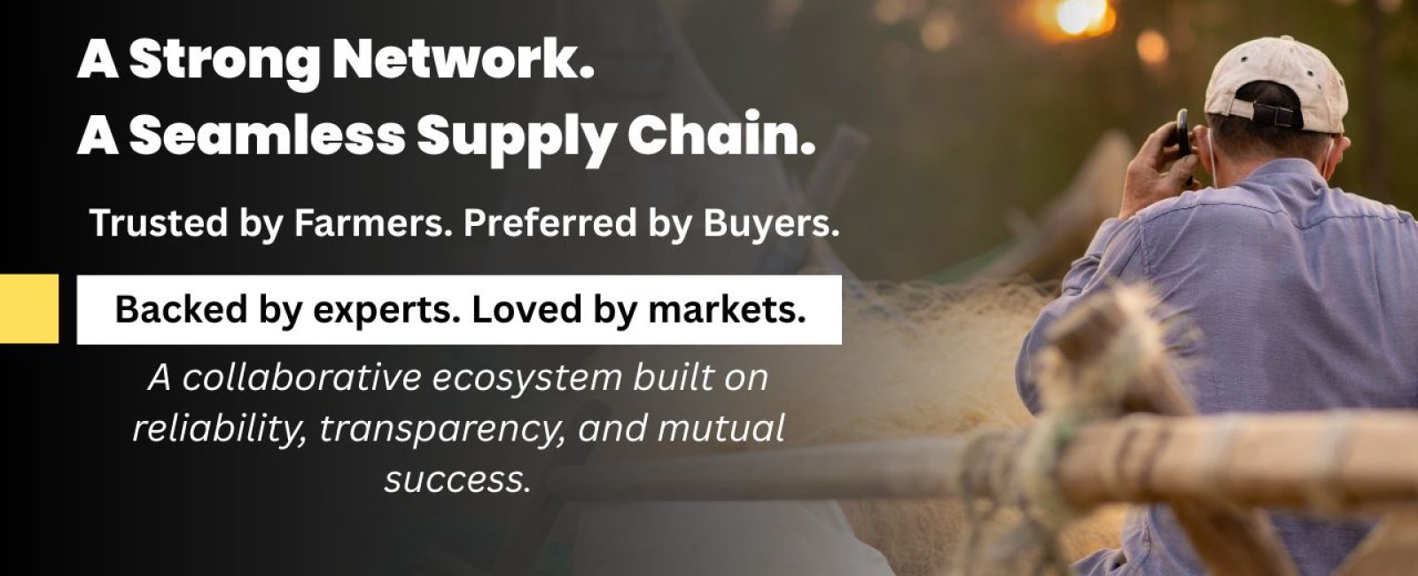 mariseax_network_partners